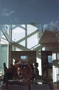 Haus M