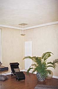 Haus T